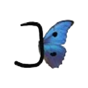 Jerry Berry Hub Logo